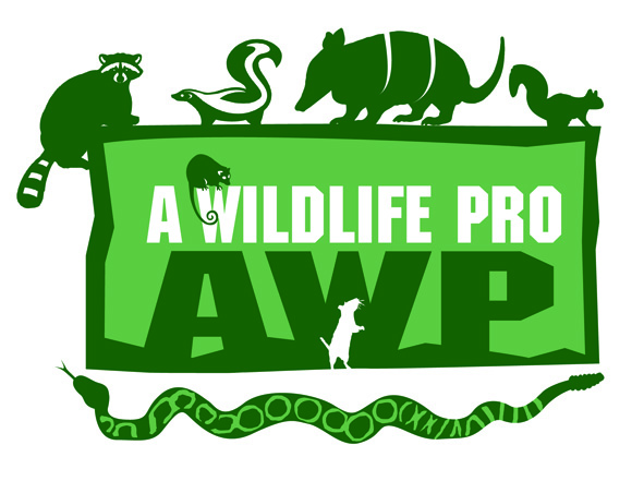 Diseño de Logo por rkailas para este proyecto | Diseño #813531