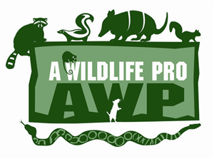 Logo Design by rkailas for this project | Design: #813531