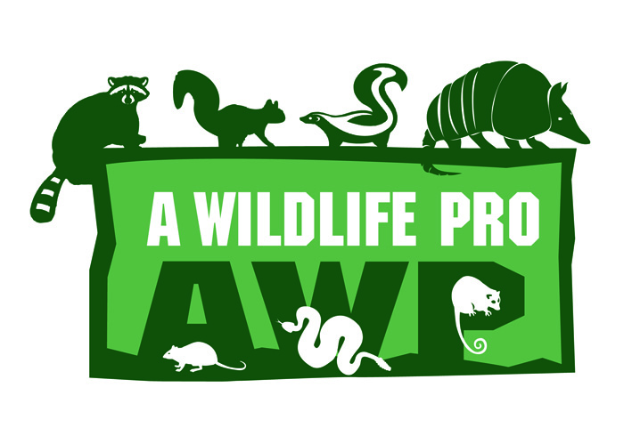 Diseño de Logo por rkailas para este proyecto | Diseño #813556