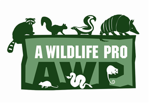 Logo Design by rkailas for this project | Design: #813556