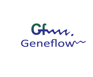 Logo Design by Dzigns