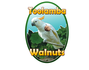 Logo Design by Ben