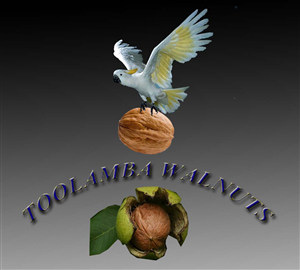 Design de Logo par Georgiana Angheloiu pour Toolamba Walnuts | Design : #3145165