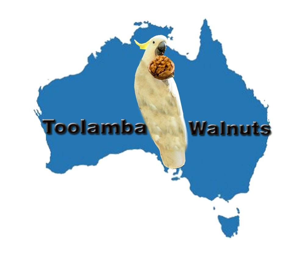 Logo Design by Georgiana Angheloiu for Toolamba Walnuts | Design #3162323