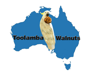 Design de Logo par Georgiana Angheloiu pour Toolamba Walnuts | Design : #3162323