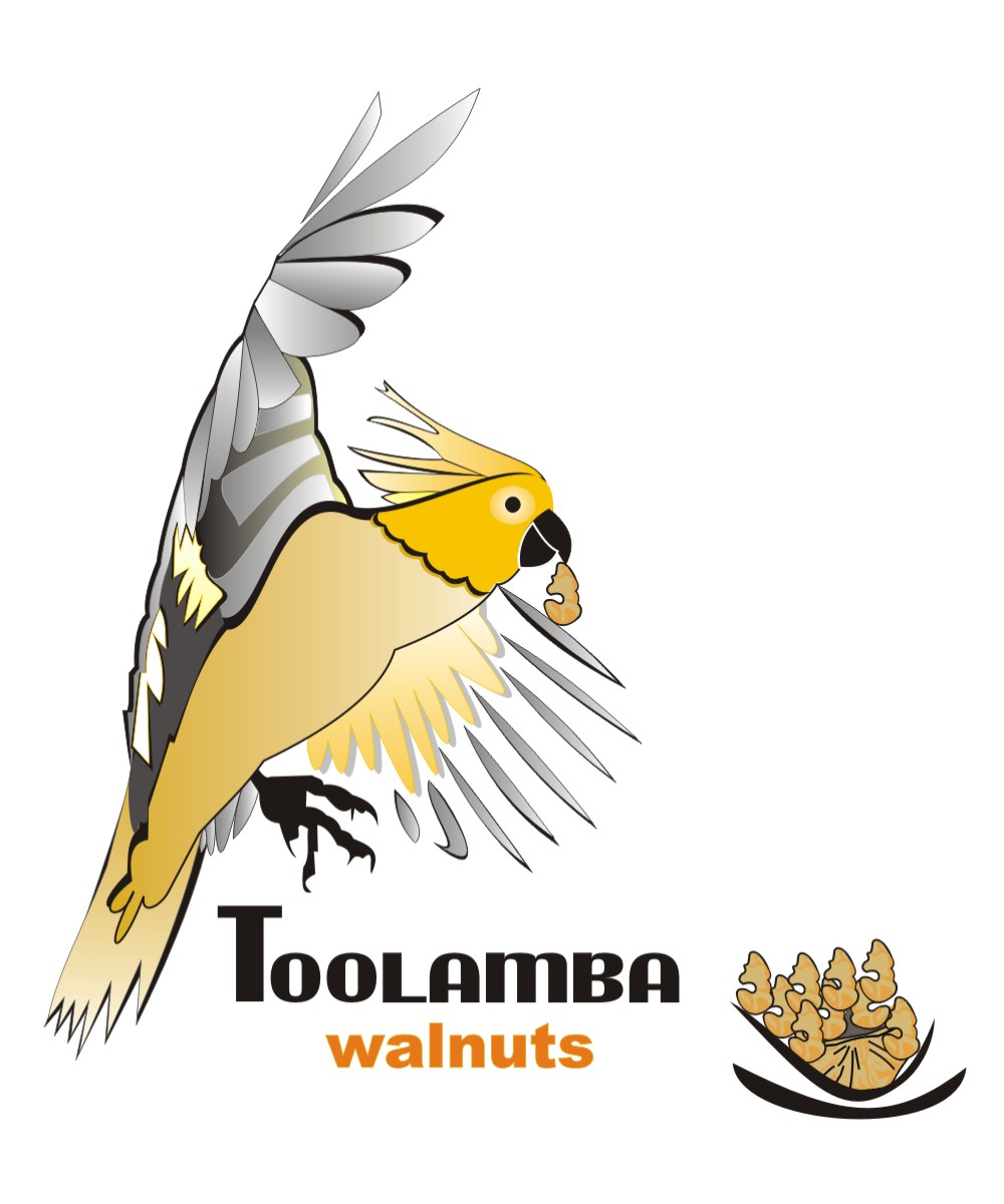 Logo Design by ozair1 for Toolamba Walnuts | Design #3195506