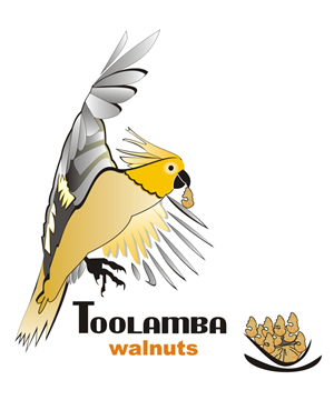 Logo Design by ozair1