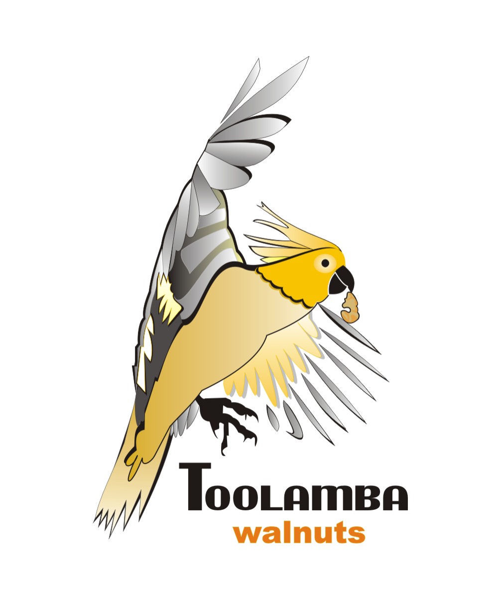 Logo Design by ozair1 for Toolamba Walnuts | Design #3195517