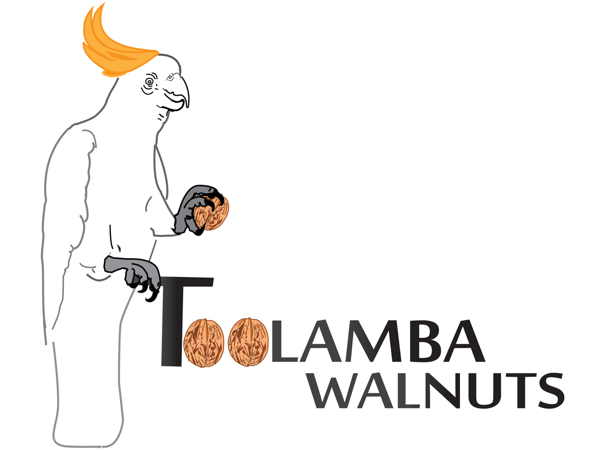 Diseño de Logo por karthikragu para Toolamba Walnuts | Diseño #3143209