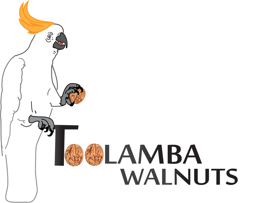 Design de Logo par karthikragu pour Toolamba Walnuts | Design #3144063
