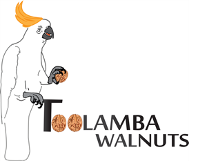 Design de Logo par karthikragu pour Toolamba Walnuts | Design : #3144063
