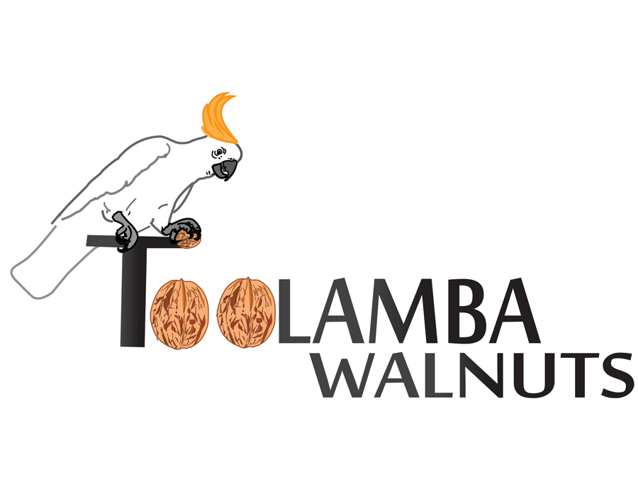 Logo Design by karthikragu for Toolamba Walnuts | Design #3147224