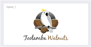 Logo Design by ESolz Technologies
