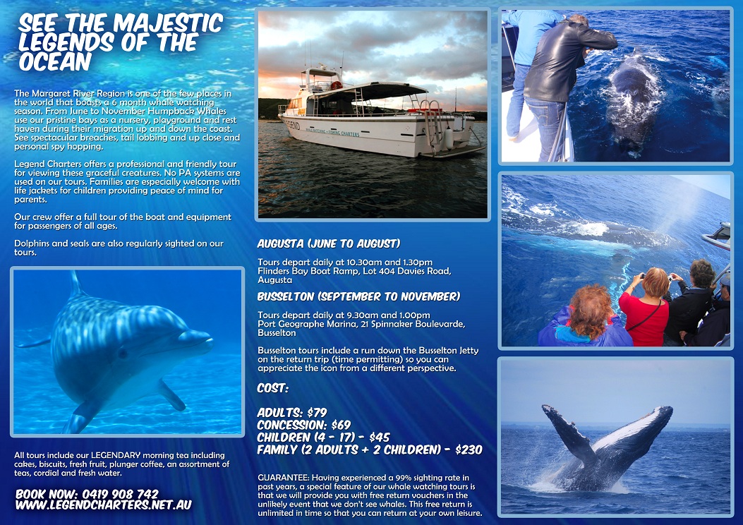 Flyer Design by joserios for this project | Design #784314