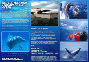 Flyer-Design von joserios für dieses Projekt | Design: #784314