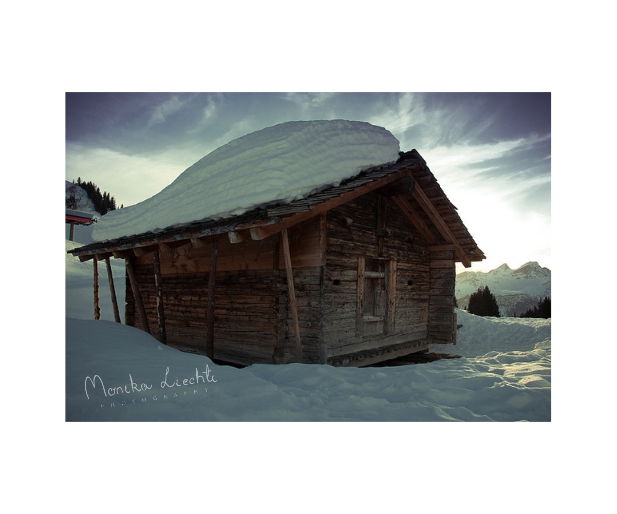 Diseño de Logo por Mandarina para este proyecto | Diseño #4914645