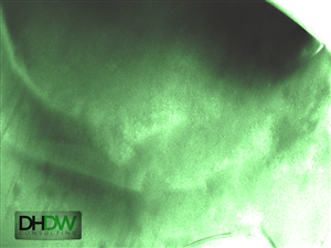 Illustration Design by vivian li