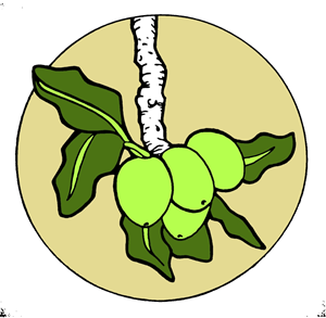 Logo-Design von Bootytree für dieses Projekt | Design #3140123