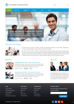 Design Wordpress par pb pour Tonner Consulting Ltd | Design : #3152343
