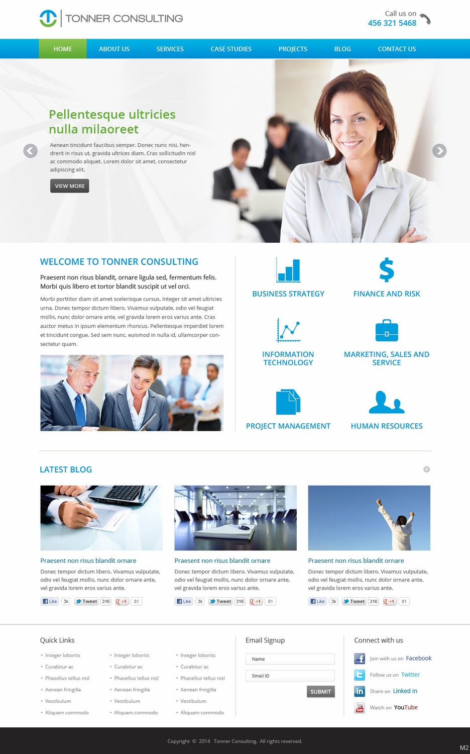 Wordpress Design by pb for Tonner Consulting Ltd | Design #3152418