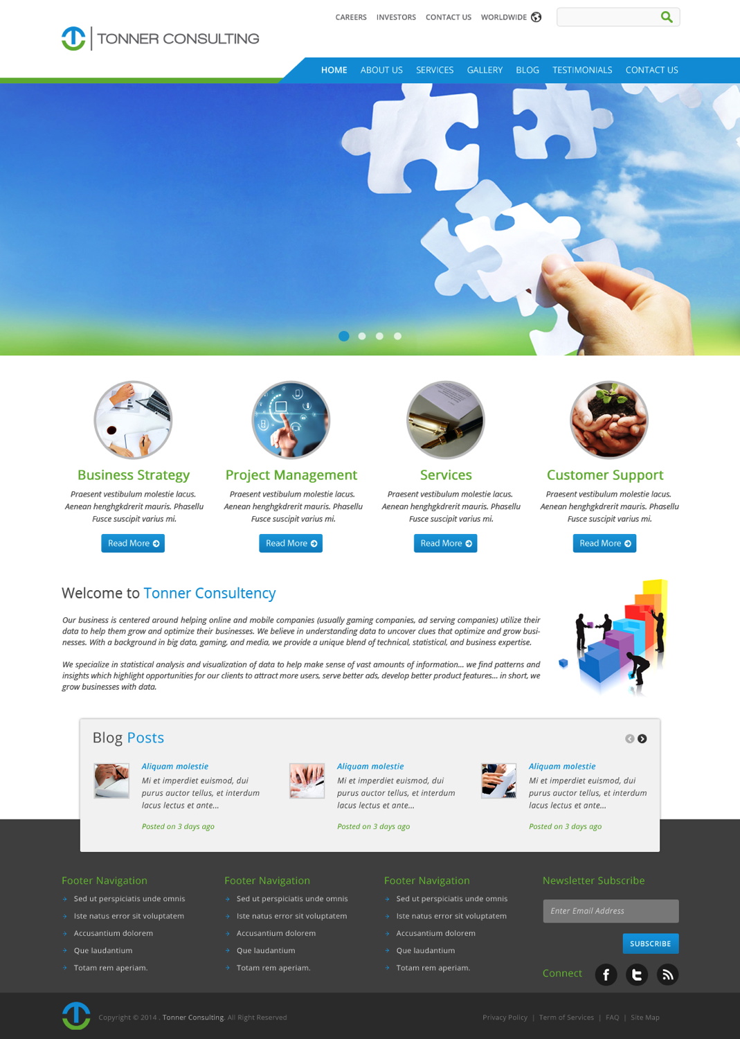 Wordpress Design by pb for Tonner Consulting Ltd | Design #3176524