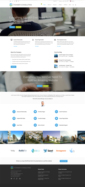 Wordpress Design by NessDesign for Tonner Consulting Ltd | Design: #3151421