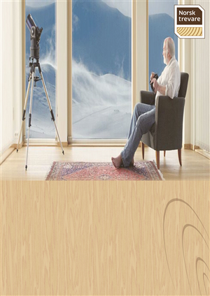 Brochure Design by bradoral