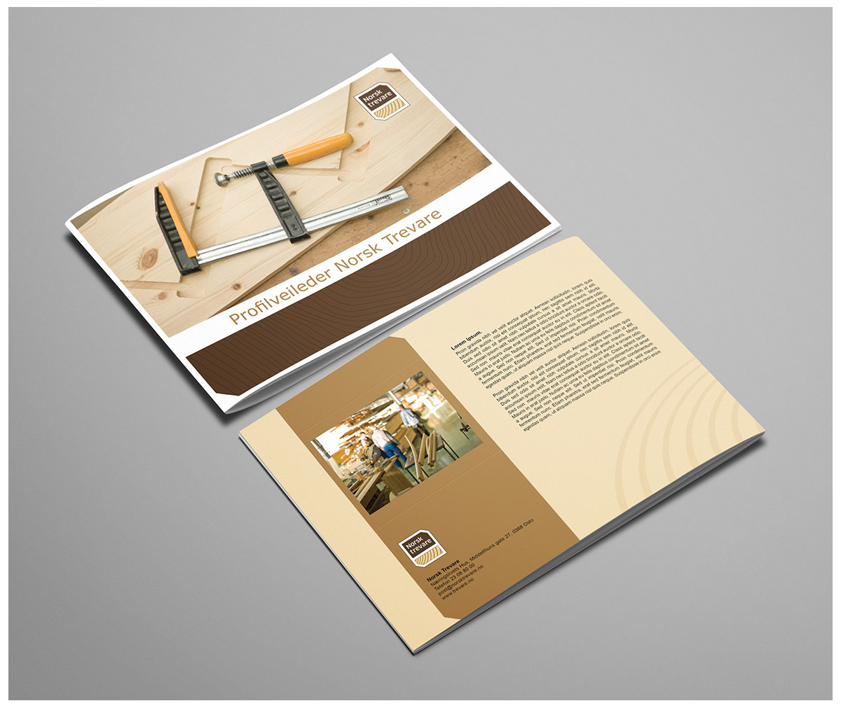 Brochure Design by Mulugeta for this project | Design #3192893