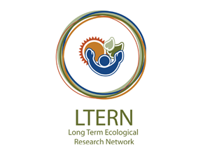 Logo-Design von Gayan für dieses Projekt | Design: #780765