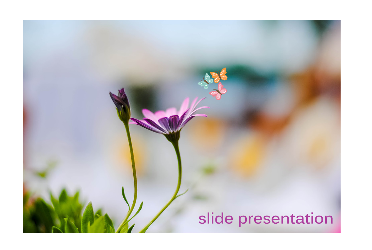 Diseño Gráfico por Mr J para este proyecto | Diseño #3146834