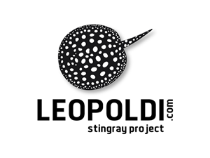 Logo Design by Carla T. for this project | Design: #769081