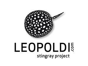 Logo Design by Carla T. for this project | Design: #769082