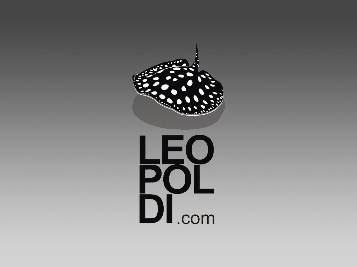 Design de Logo par Voltage Gated pour ce projet | Design #776388