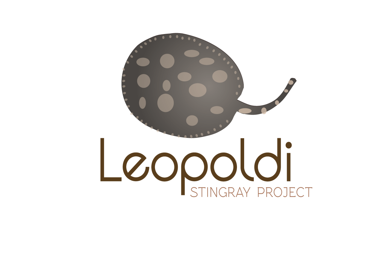 Logo Design by Shirlei Patricia for this project | Design #772428