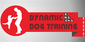 Logo Design by Doctor Logo