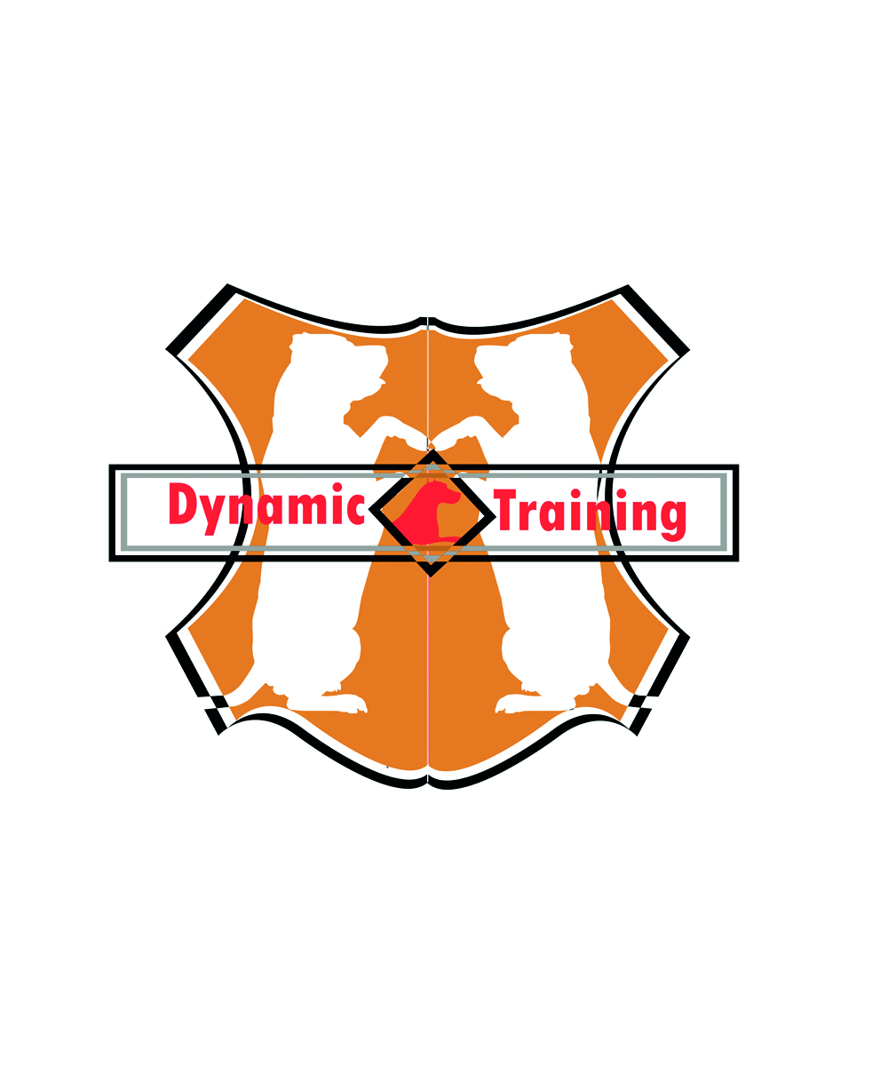Logo Design by sr4gik for this project | Design #3163027
