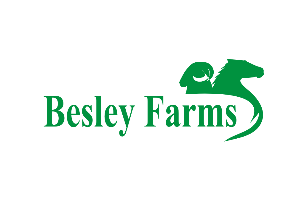 Logo Design by Isbie for this project | Design #3177338