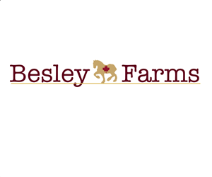 Logo Design by Kestes
