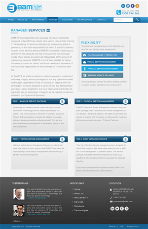 Wordpress Design by JM for Scopus Consulting | Design: #3279906
