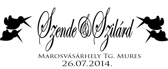 Logo Design by csatrafacsatrafa for this project | Design #3162941