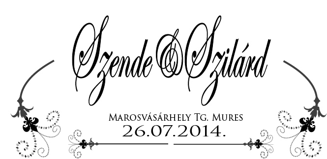 Logo Design by csatrafacsatrafa for this project | Design #3162966