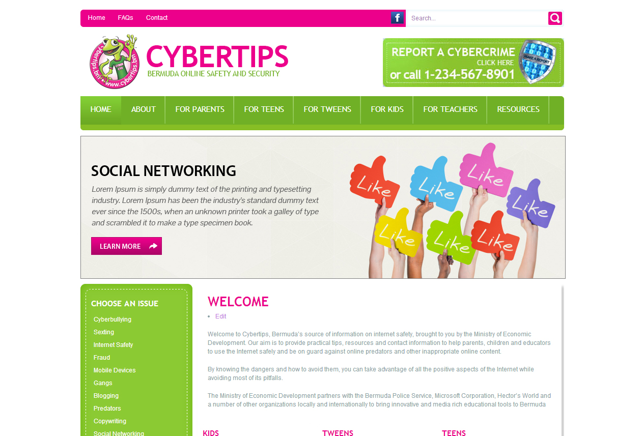 Web Design by Kreative Ideaz for Essential Elements | Design #3165506