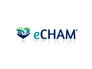 eCHAM | Logo Design by Buck Tornado