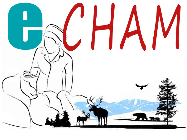 Logo Design by thrill for ANTHC | Design #781981