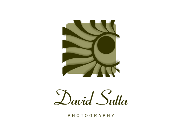 Logo Design by allegra creativa for this project | Design #805940