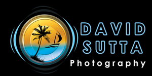 Logo Design by Sel