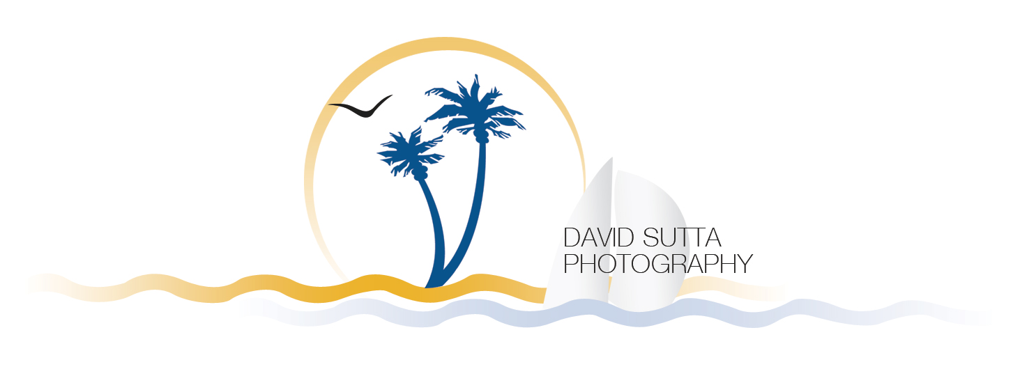 Logo Design by nisarzenith for this project | Design #838060