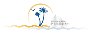 Logo Design by nisarzenith