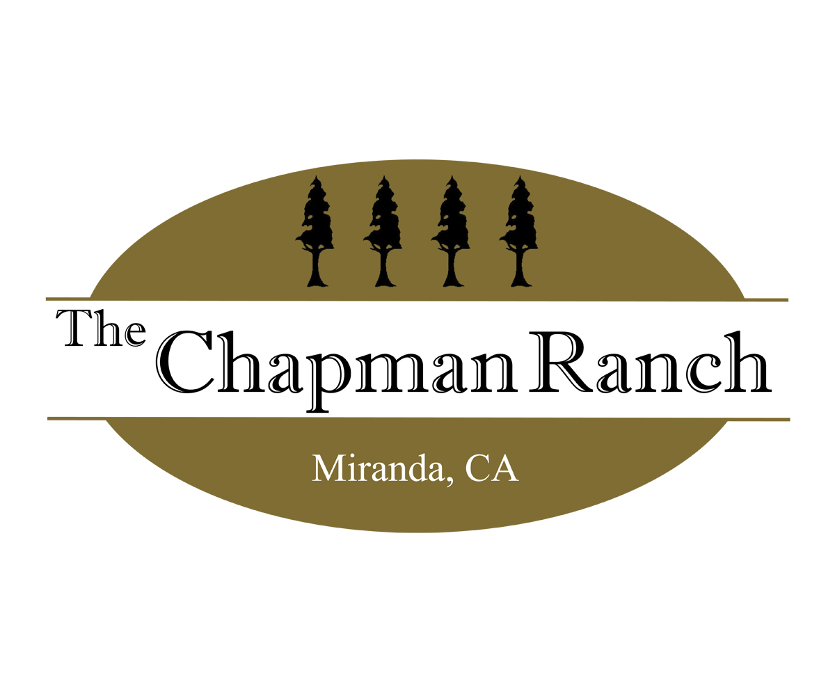 Design de Logo par Owl Designs pour ce projet | Design #3175968