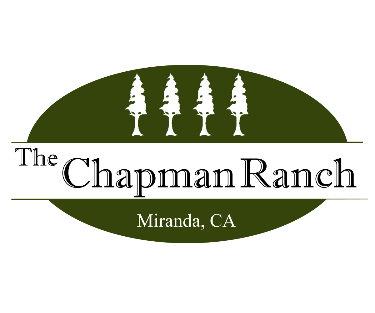 Logo Design by Owl Designs for this project | Design #3176407